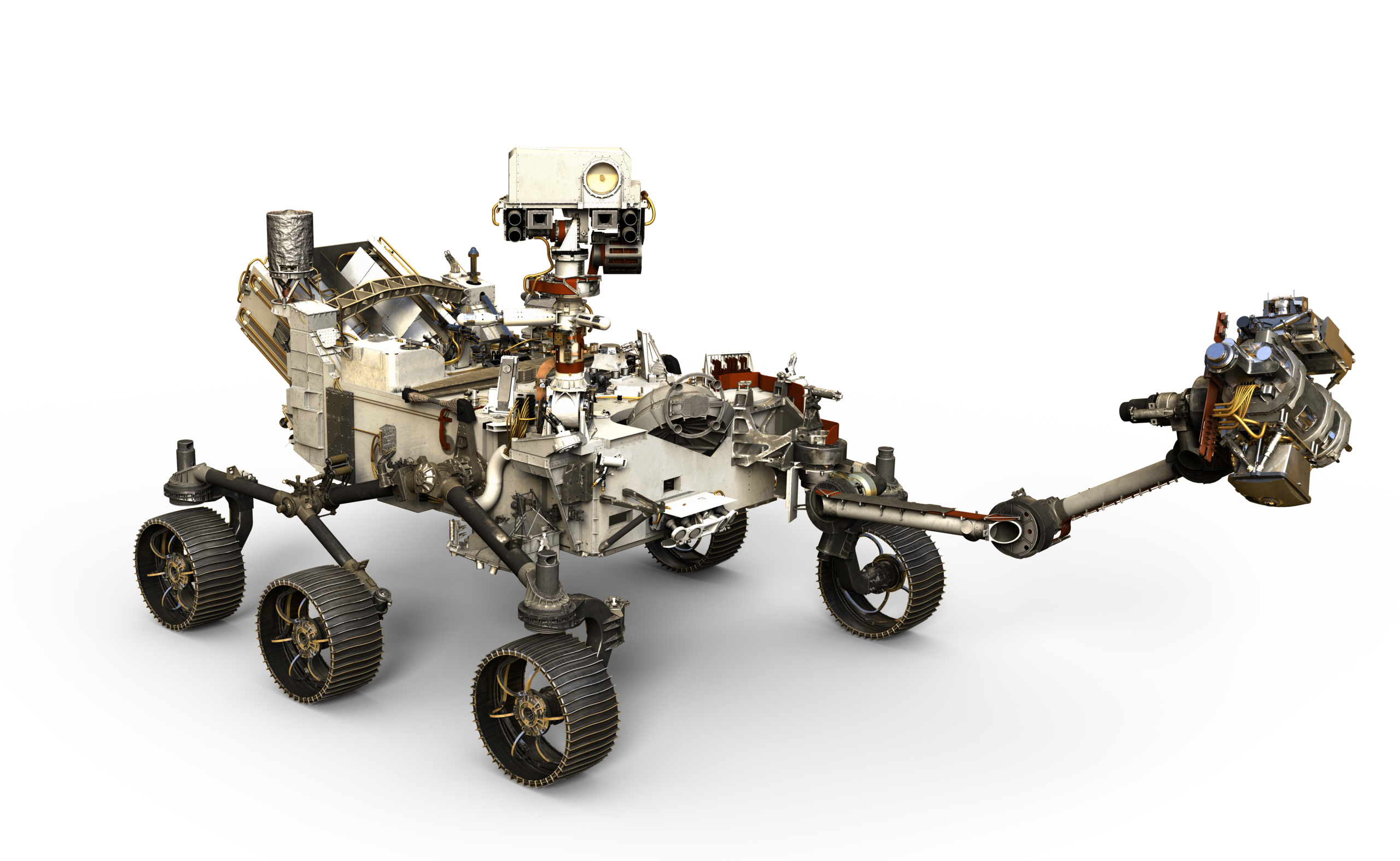 Rover